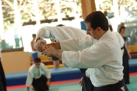 Aikido_instructor_low